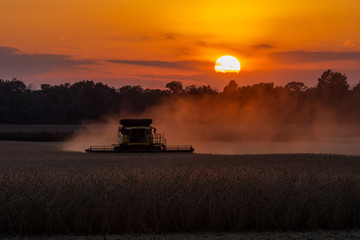 Harvest