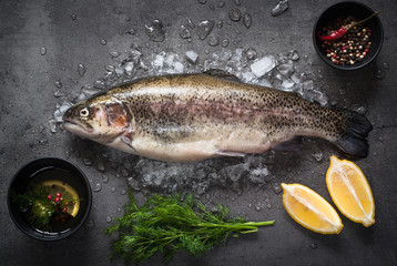 Raw brown trout on ice and ingredients. Fresh fish.