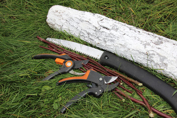 Modern secateurs, a garden hacksaw, pruned young apple branches and sawn off whitewashed apple trunk on the lawn grass in the autumn garden