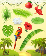 Jungle. Palm, Banana, Mango, Parrot, Water Lily, Hibiscus. Set Of Leaves And Flowers. Tropical Plants. 3d Vector Icon Set