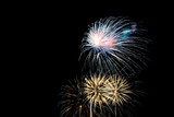 Fototapeta Dmuchawce - Fireworks light up the sky