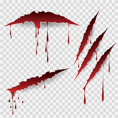 Wall Mural - bloody scratches. vector scratch marks with blood drops