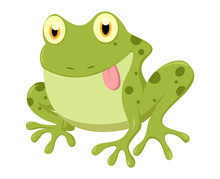 Cute Frog Cartoon Isolated On White