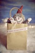 Grußkarte - Schneemann mit Weihnachtsgrüßen - Frohe Weihnachten 
