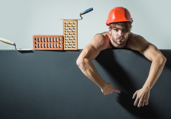 Wall Mural - sexy muscular man builder