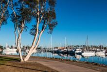Pathway Through The Chula Vista Bayfront Park With Boats Moored In The Marina.