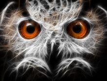 Owls Portrait. Owl Eyes - Abstract Painting, Fractal