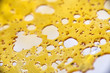 A piece of cannabis oil concentrate aka shatter isolated on whit