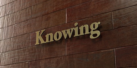 knowing - bronze plaque mounted on maple wood wall - 3d rendered royalty free stock picture. this im