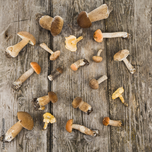 Fotomural Raw mushrooms on a wooden table. Boletus edulis and chanterelles