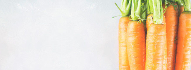 Organic carrots on gray background. Banner