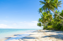 Palm Trees Cast Shadows On Wide Remote Tropical Brazilian Island Beach In Bahia Nordeste Brazil