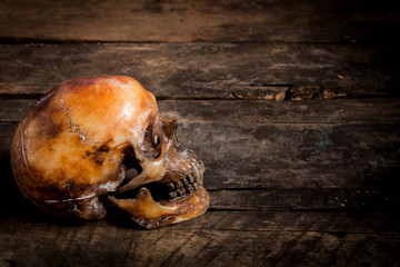 Human skull on old wood background, still life