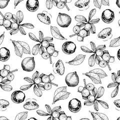 Vector seamless pattern of macadamia nuts and branch. Hand drawn engraved art. Healthy beauty hair nutrition.