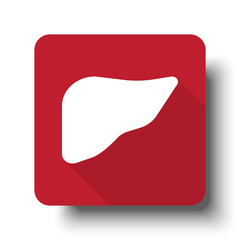 Wall Mural - Flat Liver web icon on red button with drop shadow