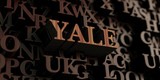 Fototapeta Młodzieżowe - Yale - Wooden 3D rendered letters/message.  Can be used for an online banner ad or a print postcard.