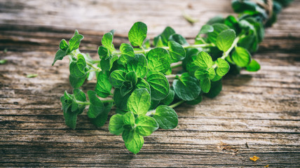 Fresh oregano twig on wooden background