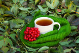 Fototapeta Kuchnia - A cup of tea wrapped in a green knitted scarf on the background of autumn leaves. Mug of tea and viburnum bundle of dry fallen leaves. Autumn concept. Winter concept. 