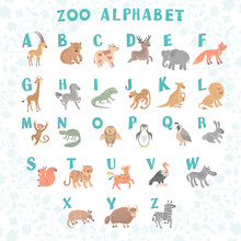 Cute Vector Zoo Alphabet. Funny Cartoon Animals. Letters. Learn To Read. 