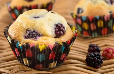 Wall Mural - blackberry muffins in paper cups