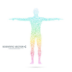 Structure molecule of man. Abstract model human body DNA . Medicine, science and technology. Scientific Vector for your design.