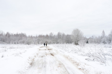 Two men go on vanishing snow-covered dirt road to winter forest. Novgorodsky region, Russia 
