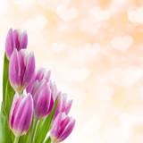 Fototapeta Tulipany - Valentines Day Background with Tulips