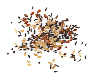 Mixed bird seed isolated on white