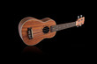 © AON - The brown ukulele, clipping path