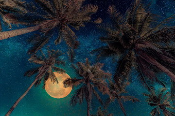 Wall Mural - silhouette coconut palm tree with the full moon and milky way galaxy. vintage tone