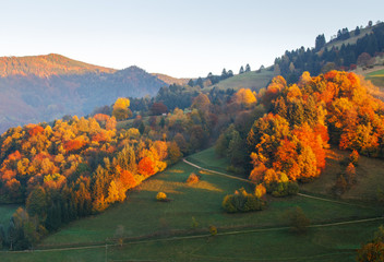 Wall Mural - Colorful autumn mountain landscape at sunset.  Germany, Black Forest. Scenic travel background.