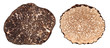 
Winter and summer black truffle cross section difference
