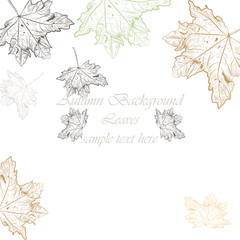 Wall Mural - Autumn Vintage background. Vector hand drawn autumn tree leaves pattern. Retro engraved technique