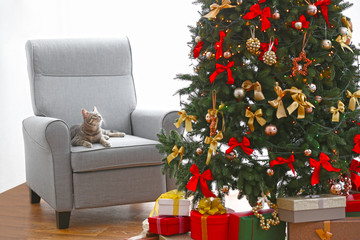 Canvas Print - Cat lying in armchair near beautiful Christmas tree