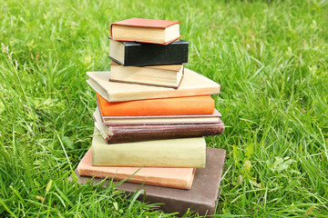 Poster - Pile of books on green grass