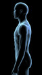 © HANK GREBE - Image converted using ifftoany