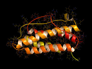 Wall Mural - Erythropoietin (human EPO, epoetin) protein hormone