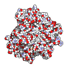 Poster - Tumor necrosis factor alpha (TNF) cytokine protein molecule