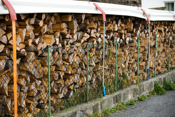 Wall Mural - timber harvesting in the countryside in a small factory. The trunks of old trees sawed and packaged. Production of wood for fireplaces.