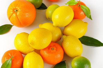 Wall Mural - fresh citrus fruit