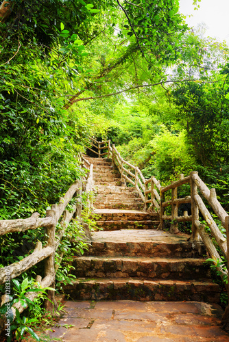 Fototapeta na wymiar Scenic stone stairs among tropical woods