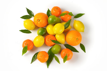 Wall Mural - fresh citrus fruits