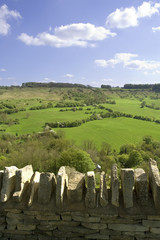 Wall Mural - cotswold view UK