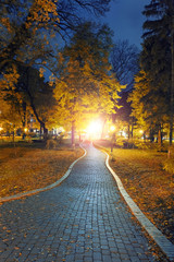 Wall Mural - autumn city park at night