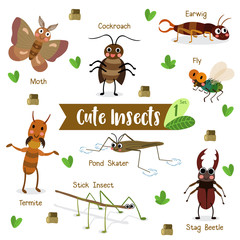 Wall Mural - Cute Insects Animal cartoon on white background with animal name. Fly. Cockroach. Pond Skater. Stick Insect. Moth. Termite. Earwig. Stag Beetle. Beetle. Vector illustration. Set 1.