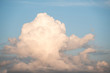 Cloud mushroom shaped over the sky