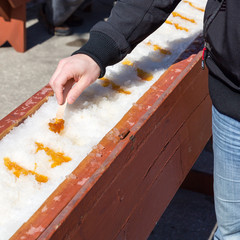 Wall Mural - Man rolling hot maple syrup on snow - A springtime treat