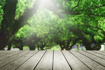 Wooden empty and blur forest background.