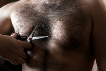 Closeup Man With Scissors Cuts The Hair On His Hairy Chest