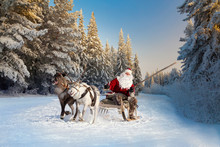 Santa Claus And His Reindeer In Forest